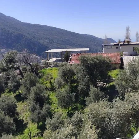 Villa Tugce